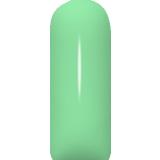 Farbgel Premium, 1D, Nr. 184 -Cool Mint- 5ml