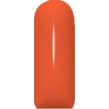 Farbgel Einfach, Cremig, Nr. 50 -Orange-, 5ml